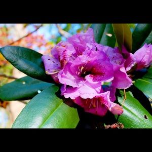 Meet your Posher, Kaitlyn